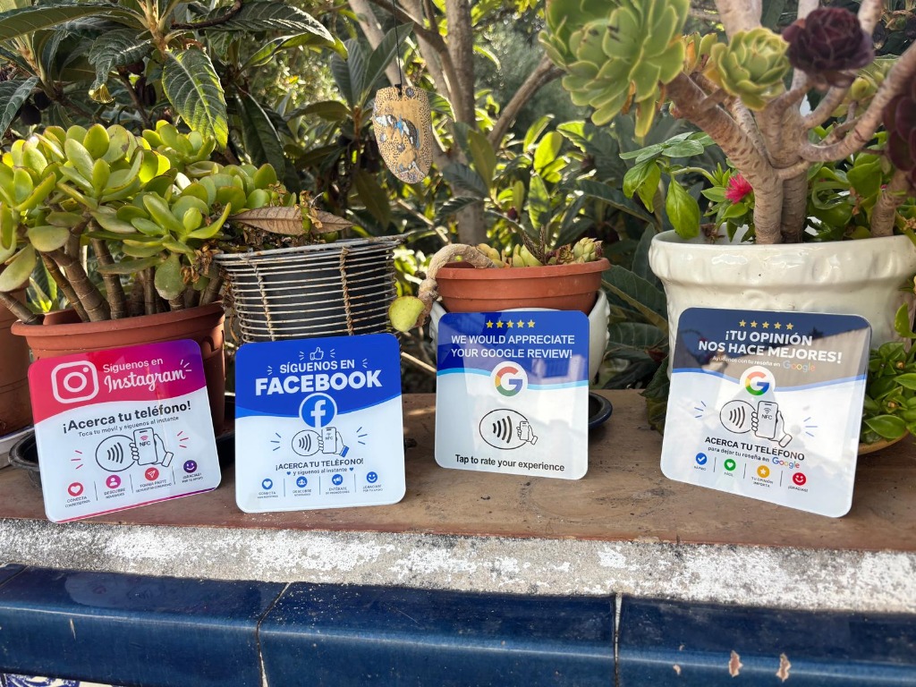 Las 4 tarjetas NFC a contraluz con macetas de barro y plantas suculentas
