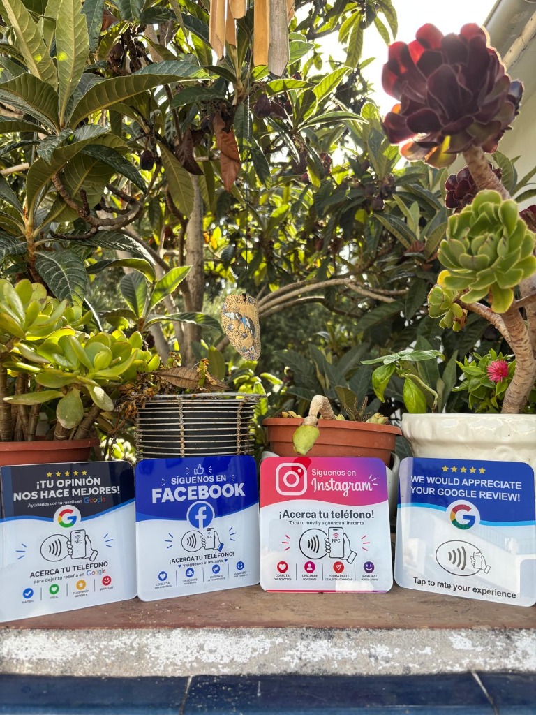 Las 4 tarjetas NFC en fila sobre poyete de patio andaluz con plantas de fondo