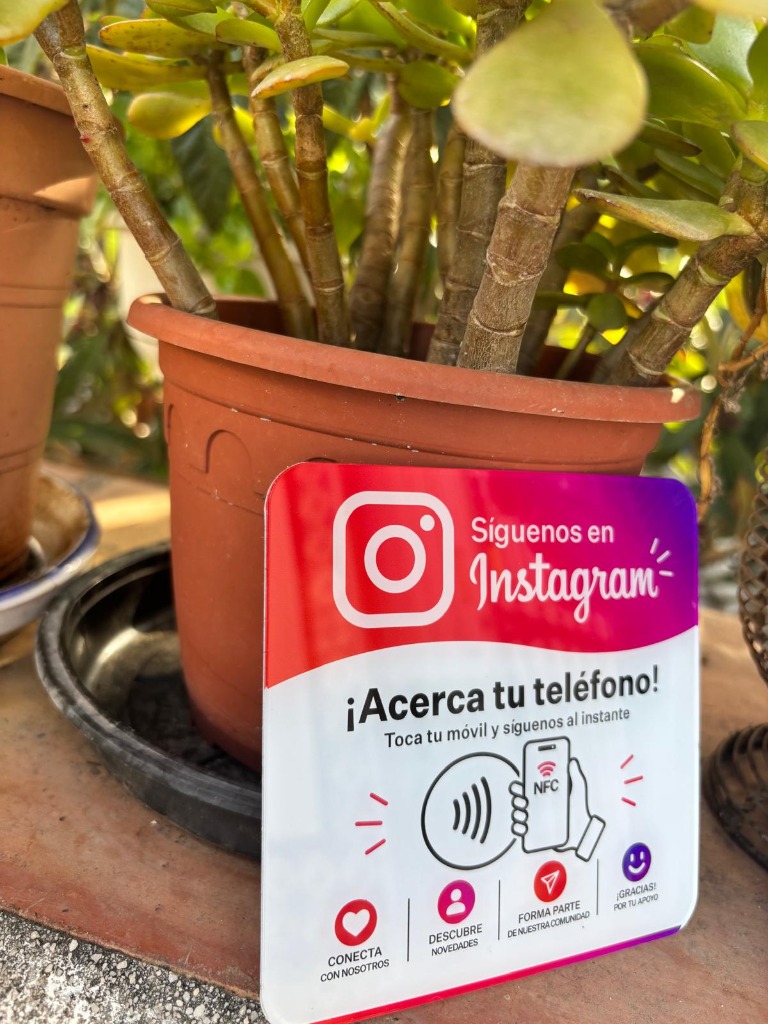 Tarjeta NFC de Instagram apoyada en maceta de barro jade en patio con plantas